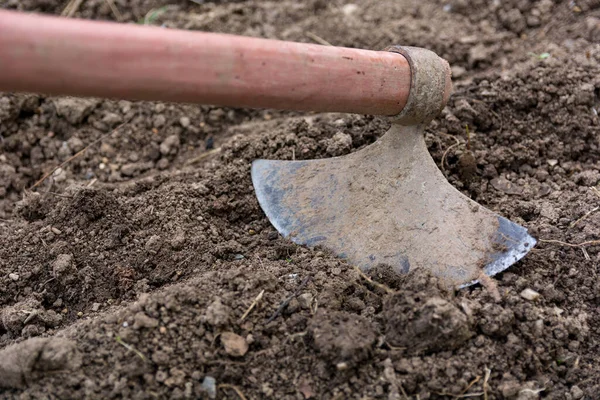 Retro Old Hoe Digs Agricultural Field Sunny Spring Day Agricultural — Stock Photo, Image