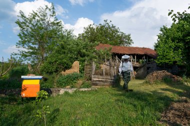 Arıcı bir bahar günü bir el çim biçme makinesiyle köy bahçesinde uzun çimleri biçti. Çiftçi çalışırken koruyucu giysiler giyer