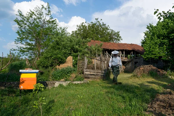 Beekeeper Mowed Tall Grass Village Yard Hand Lawnmower Spring Day — Fotografia de Stock
