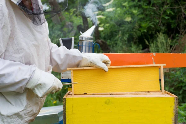 Professionele Imker Beschermende Werkkleding Inspecteert Honingraatkader Bij Bijenstal Een Zonnige — Stockfoto