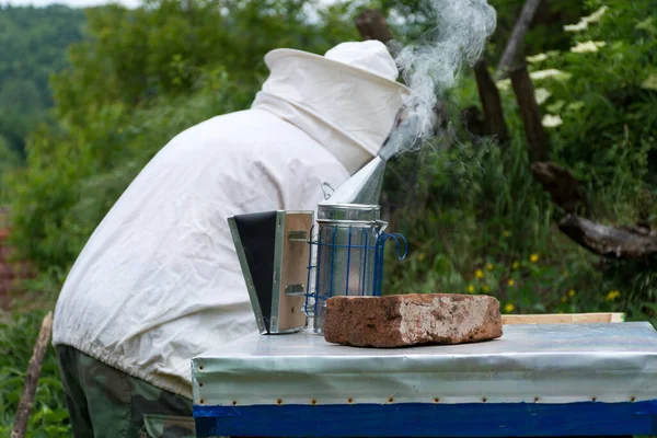 Bee smoker standing on the hive and smoking. Beekeeper is in background and working. A bee smoker is a device used in beekeeping to calm honey bees