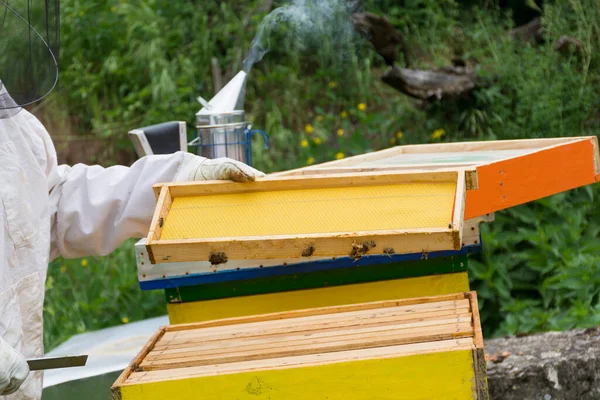 Bijenhouder Beschermend Pak Handschoenen Houdt Inspecteert Honingraatkader Bij Bijenstal Een — Stockfoto