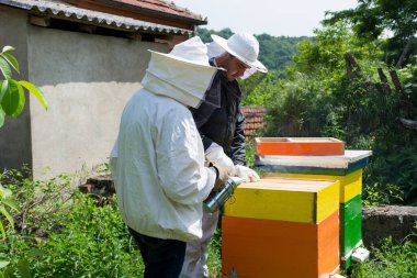 Arı kovanında koruyucu iş kıyafetleri olan iki arı yetiştiricisi kovandaki arıları kontrol edip onları sakinleştirmek için bir sigara içicisiyle tüttürüyor. Arıcılık konsepti