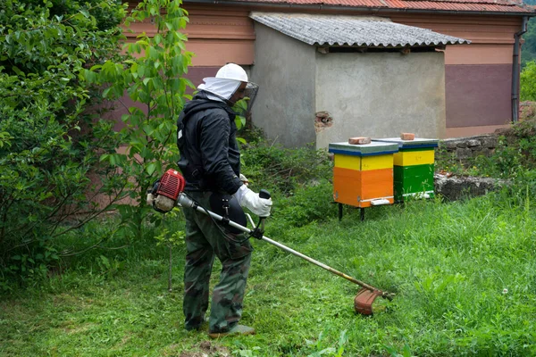 Apicultorul Într Costum Protecție Coase Iarbă Înaltă Tuns Benzină Jurul — Fotografie, imagine de stoc