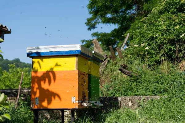 Bijenkorven Veel Bijen Vliegen Rond Een Zonnige Lentedag Een Bijenstal — Stockfoto