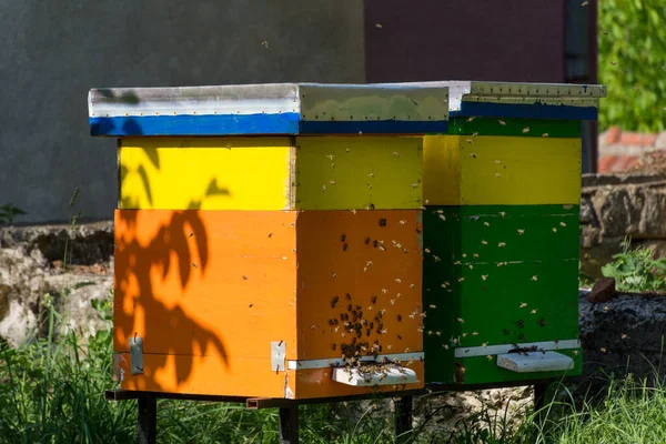 Een Zwerm Bijen Vliegt Rond Bijenkorven Een Zonnige Lentedag Bijenteeltconcept — Stockfoto