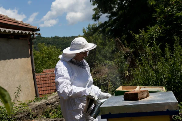 Female Beekeeper Protective Clothing Opens Hive Uses Smoker Calm Bees — Fotografia de Stock