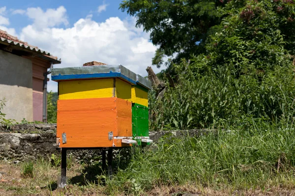 Twee Kleurrijke Houten Bijenkorven Een Bijenstal Een Zonnige Zomerdag Bijenteeltconcept — Stockfoto