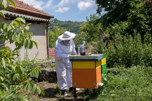 Female Beekeeper Protective Clothing Opens Hives Apiary Sunny Summer Day — Stock Photo, Image