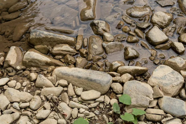 Stones and river water in the forest on a sunny summer day. Natural background concept. Top view. Close up, selective focus
