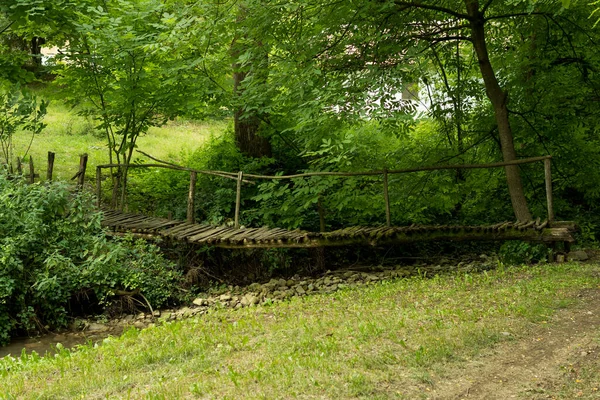 Small Wooden Footbridge Stream Forest Sunny Summer Day Bridge Old — Stock Photo, Image