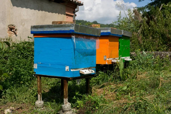 Three Wooden Colorful Beehives Apiary Sunny Summer Day House Concept — kuvapankkivalokuva