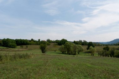Beautiful landscape with meadows for cattle grazing on a summer day in the countryside