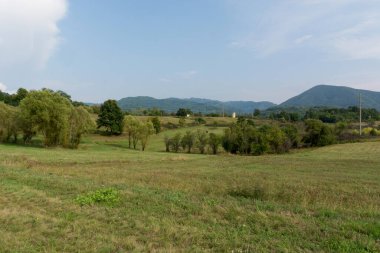 Landscape with meadows and trees on a summer day in the countryside. Natural background concept