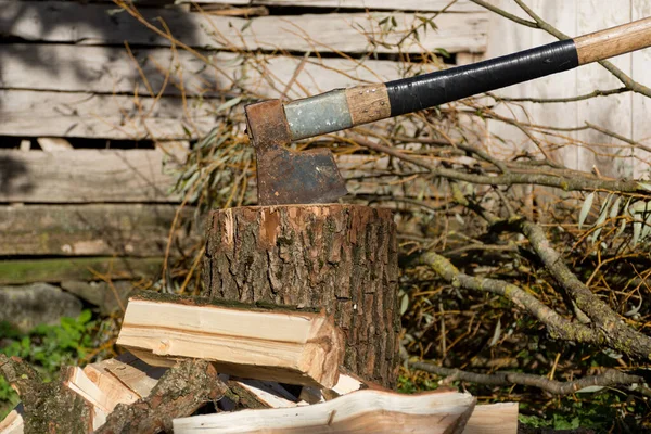 Old Retro Stuck Tree Stump Cut Wood Sunny Autumn Day — Stock Photo, Image