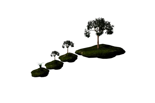 Puu kalliolla — kuvapankkivalokuva