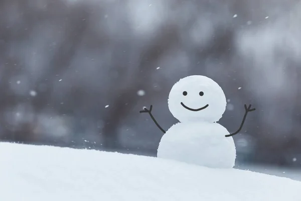 Boldog hóembert a téli háttérben. Karácsonyi üdvözlőlap. Újévi szabadtéri tevékenység — Stock Fotó
