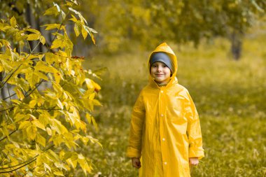 Sarı su geçirmez pelerinli çocuk sonbaharda yağmur altında parkta ya da ormanda yürür. Açık hava aktivitesi