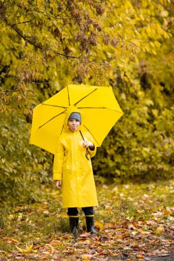 Sarı su geçirmez pelerin ve şemsiyeli çocuk sonbaharda yağmur altında parkta veya ormanda yürüyor. Açık hava aktivitesi