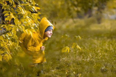Sarı su geçirmez pelerinli çocuk sonbaharda yağmur altında parkta ya da ormanda yürür. Açık hava aktivitesi