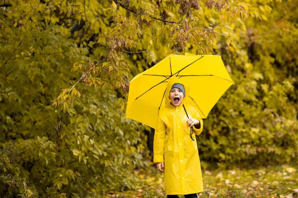 Sarı su geçirmez pelerin ve şemsiyeli Duygusal Çocuk sonbaharda yağmur altında parkta veya ormanda yürüyor. Açık hava aktivitesi — Stok fotoğraf