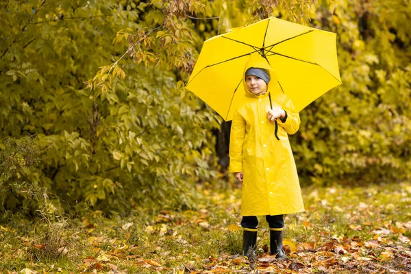 Boy in yellow waterproof cloak and umbrella walk in park or forest in the rain in autumn. Outdoor activity — Stock Photo, Image