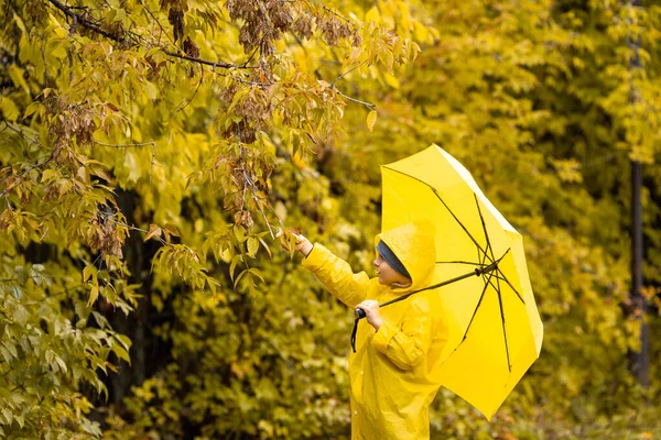 Sarı su geçirmez pelerin ve şemsiyeli çocuk sonbaharda yağmur altında parkta veya ormanda yürüyor. Açık hava aktivitesi — Stok fotoğraf