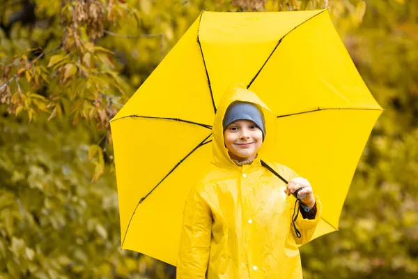 Sarı su geçirmez pelerin ve şemsiyeli çocuk sonbaharda yağmur altında parkta veya ormanda yürüyor. Açık hava aktivitesi — Stok fotoğraf