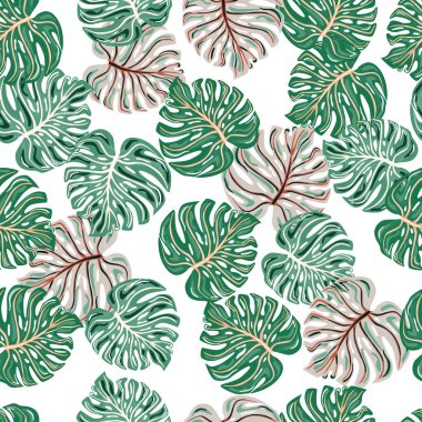 Beyaz arka planda izole edilmiş canavarsı yaprakları olan tropik, pürüzsüz bir desen. Moda botanik bitkileri duvar kağıdı. Egzotik Hawaii arka planı. Kumaş, tekstil baskısı ve ambalaj için tasarım