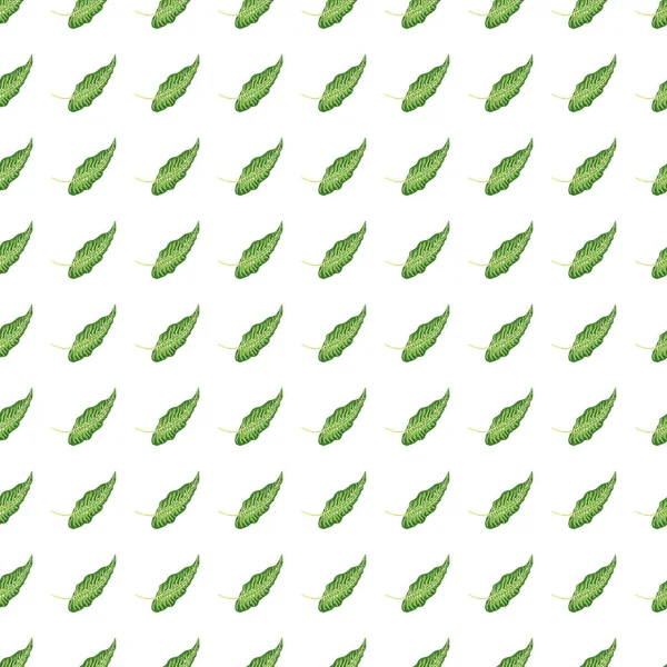 緑の葉が白い背景に隔離された現代の熱帯シームレスなパターン 植物の葉植物壁紙 エキゾチックなハワイの背景 テキスタイルプリント カバーのためのデザイン — ストックベクタ