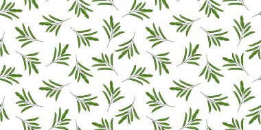 Yeşil orman pürüzsüz izler bırakır. Tropik duvar kâğıdı, organik dalsız. Egzotik Hawaii arka planı. Çiçek arkaplan. Botanik bitkileri. Kumaş, tekstil baskısı ve ambalaj için tasarım