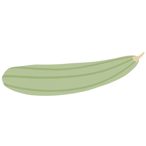 Zucchini Isolerad Märggrönsaker Enkel Stil Ingrediens För Matlagning Vektorillustration — Stock vektor
