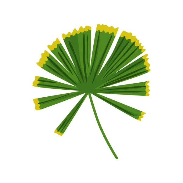 Hojas Tropicales Dibujadas Mano Elemento Floral Aislado Impresión Diseño Póster — Vector de stock