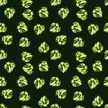 Canavar, tropikal bir iz bırakır. Palmiye yaprağının sonu gelmez duvar kağıdı. Yağmur ormanı geçmişi. Egzotik Hawaii orman arka planı. Kumaş, tekstil baskısı, ambalaj, kapak için yaratıcı tasarım