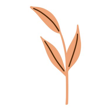 Yapraklarla çizilmiş bir dal. Çiçek yapraklı element izole edildi. Baskı, poster tasarımı. Vektör illüstrasyonu