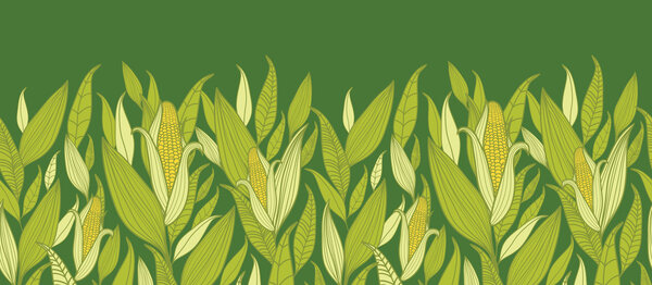 Corn plants horizontal seamless pattern background border