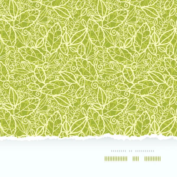 Encaje verde hojas horizontales sin costura patrón de fondo — Archivo Imágenes Vectoriales