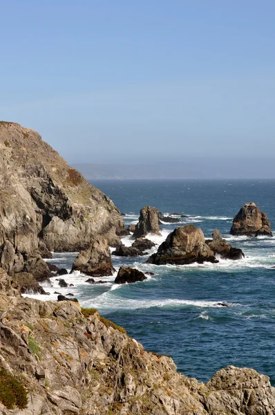 Rocky shoreline near Bodega Bay on the California coast. — Stock Photo, Image