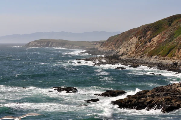 ロッキーの北カリフォルニアの海岸 ロイヤリティフリーのストック画像
