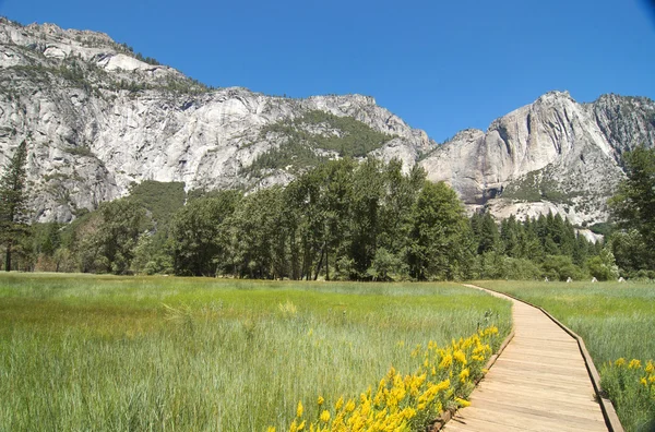 Horizontal walkway through meadow in Yosemite — Stock Photo, Image