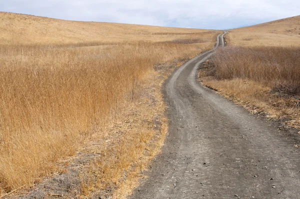 Fire road winds up a dry grass hill — Stock Photo, Image