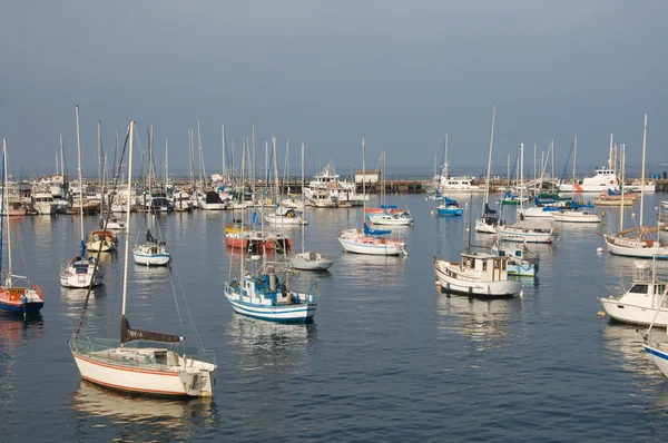 Large group of sail boats in a marina — Stock Photo, Image