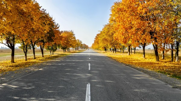 Sonbahar için yol