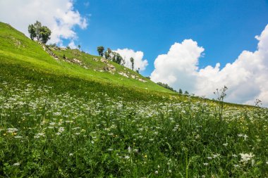 Rusya, dağlarda 2012