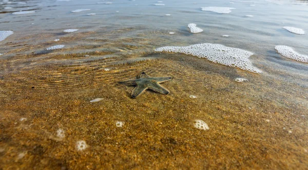 Beach in Goa, India, 2011 — Stock Photo, Image