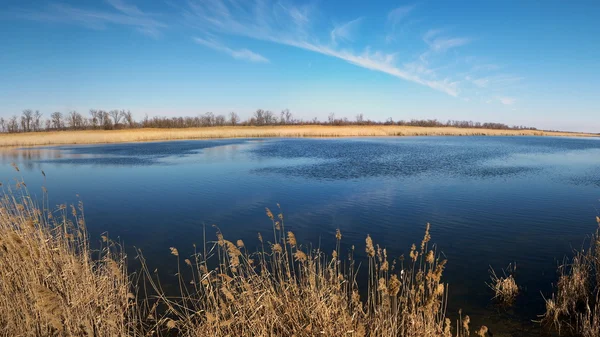 lake, water, cane