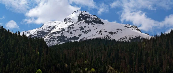 Caucasus, mountain river, clouds, landscape, mountains, forest, love, nature, panorama — Stock Photo, Image