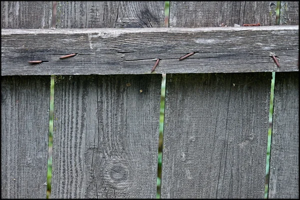 Grey fence — Stock Photo, Image