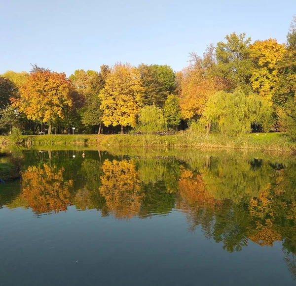 stock image Beautiful multi-colored autumn trees are reflected in the water of the lake