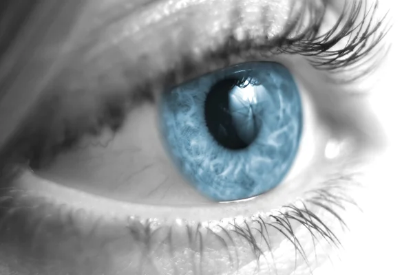 Ojo femenino blanco y negro primer plano con iris azul — Foto de Stock